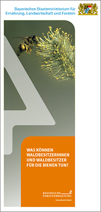 Link zur Publikation Was können  Waldbesitzerinnen und Waldbesitzer für die Bienen tun?