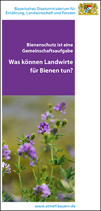 Was können Landwirte für Bienen tun?