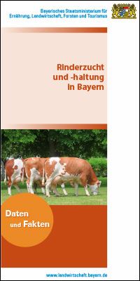 Rinderzucht und -haltung in Bayern - Daten und Fakten (2024)