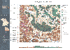 Detailansicht zu Geologische Karte 1:25 000 6743 Neukirchen b. Hl. Blut