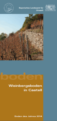 Detailansicht zu Weinbergsboden in Castell - Boden des Jahres 2014