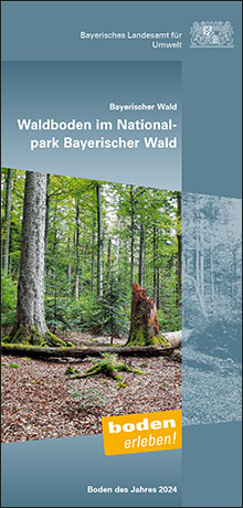 Waldboden im Nationalpark Bayerischer Wald - Boden des Jahres 2024