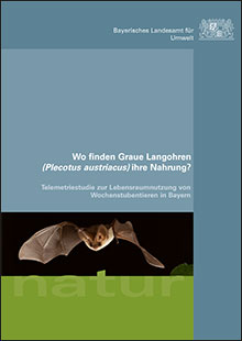 Wo finden Graue Langohren (Plecotus austriacus) ihre Nahrung? - Telemetriestudie zur Lebensraumnutzung von Wochenstubentieren in Bayern