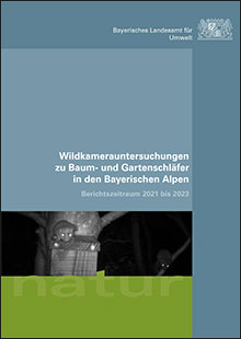 Wildkamerauntersuchungen zu Baum- und Gartenschläfer in den Bayerischen Alpen - Berichtszeitraum 2021 bis 2023