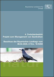 4. Zwischenbericht zum Landtagsbeschluss Projekt zum Management von Saatkrähen