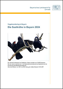 Die Saatkrähe in Bayern 2024 - Vogelmonitoring in Bayern