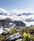 Detailansicht zu Nationalpark Berchtesgaden - Deutschlands einziger Alpen-Nationalpark