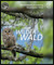 Detailansicht zu Unser Wilder Wald 2015 - 1