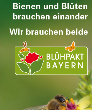 Detailansicht zu Blühpakt Bayern - Bienen und Blüten brauchen einander - Wir brauchen beide