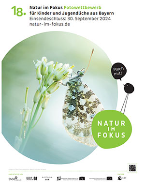 Natur im Fokus Fotowettbewerb 2024 für Kinder und Jugendliche aus Bayern - Faltblatt